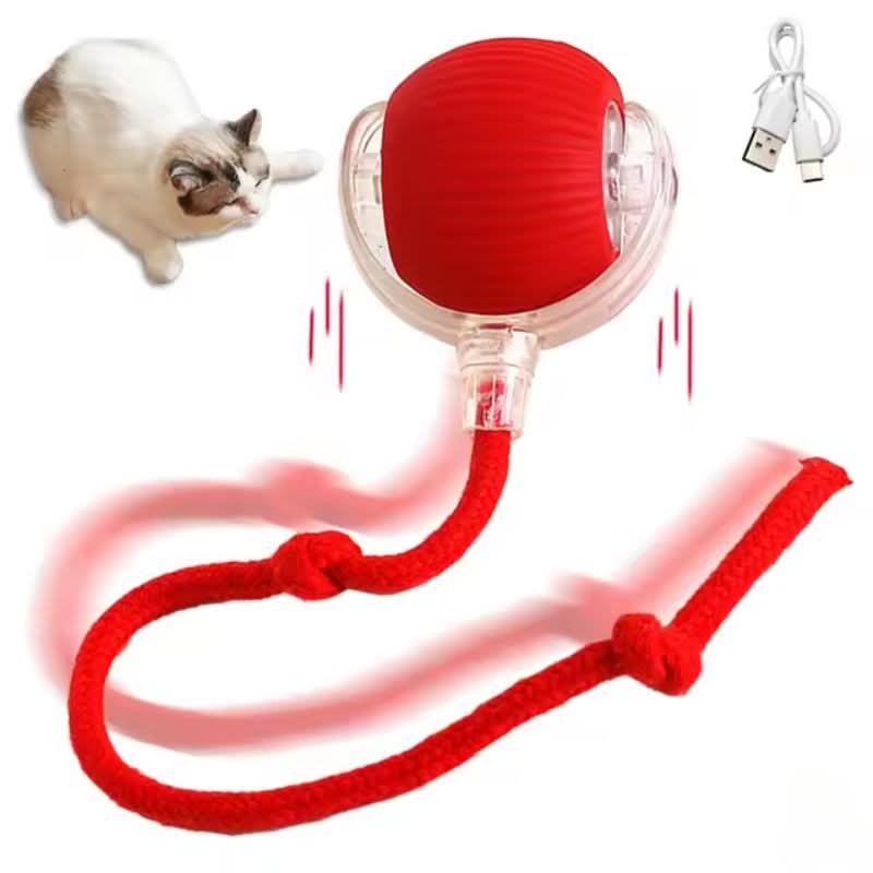 Jouet rebondissant pour chats actifs et curieux
