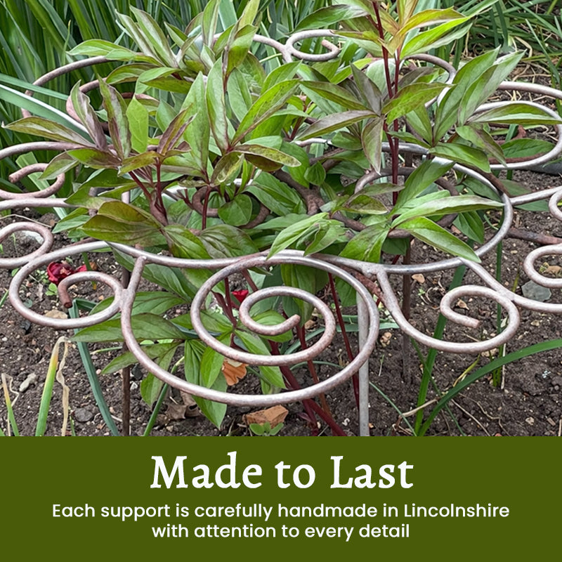 BloomSupport™ | Support de plantes discret pour des fleurs droites et saines