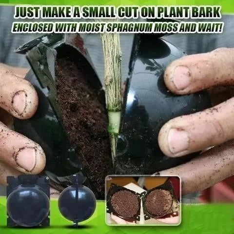 Multiplicateur de racines de plantes (5 pièces)