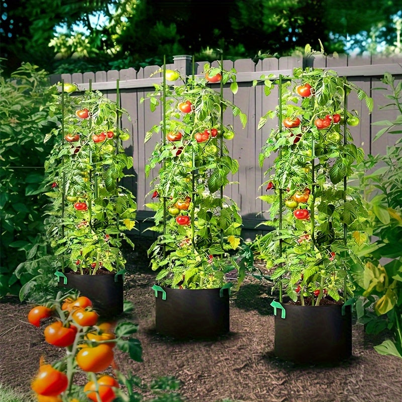 TOMABOX – Support Structuré pour la Culture de Tomates & Grande Capacité