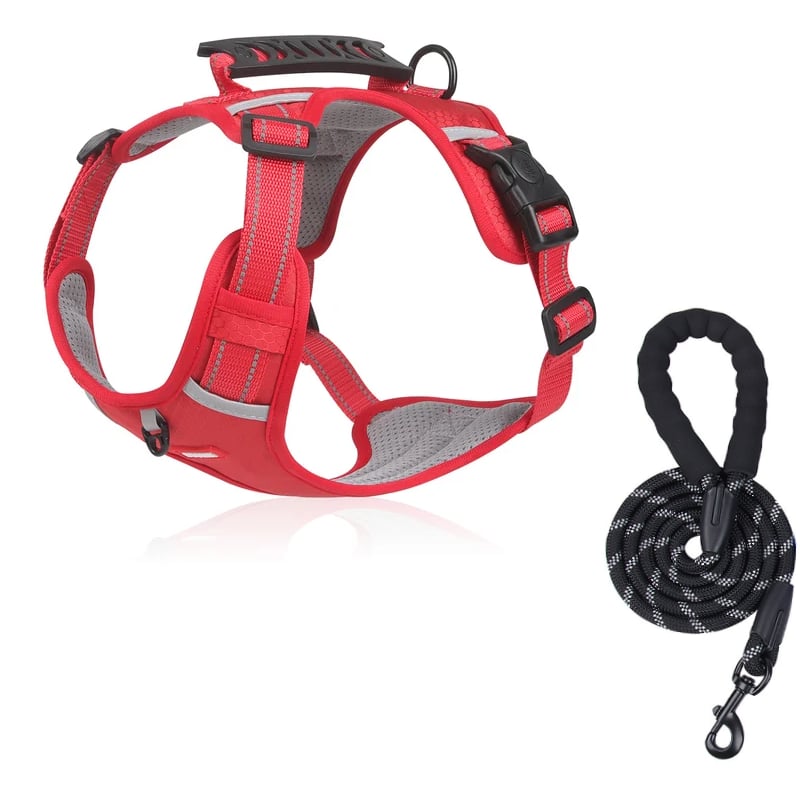 💥Vente de liquidation 49 % DE RABAIS🐕Harnais anti-traction pour animaux de compagnie