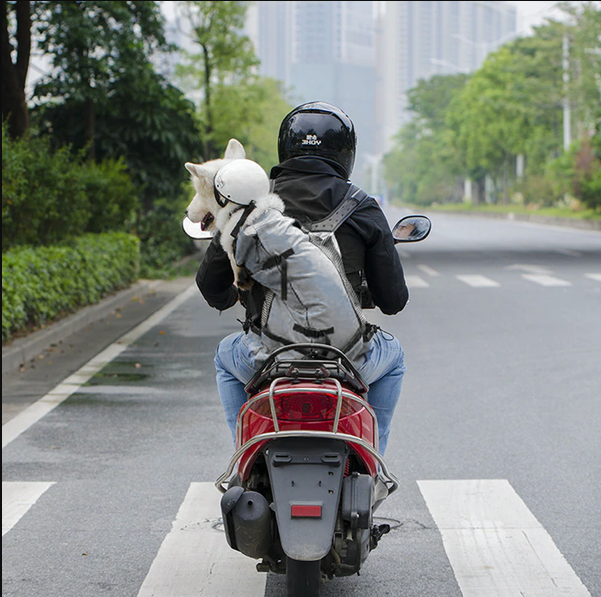 Sac à dos pour chiens