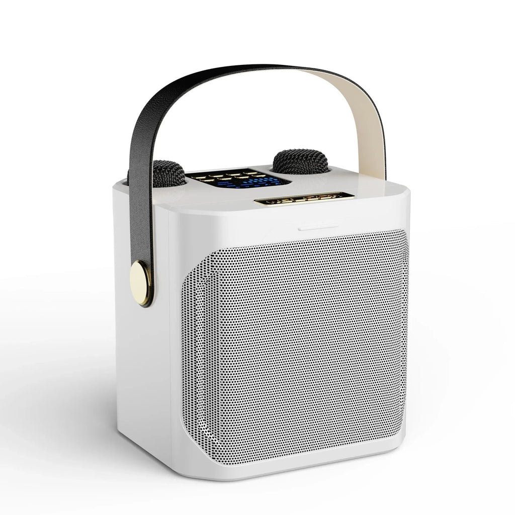 Skanto | Enceinte Bluetooth Karaoke – Subwoofer sans fil 360° Surround avec double micros