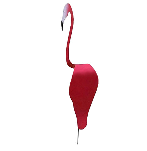 🐓Flamingo tourbillonnant dans le jardin💖