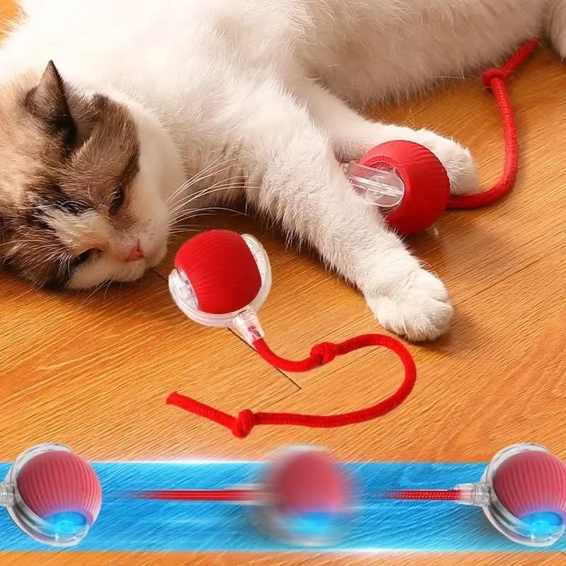 Jouet rebondissant pour chats actifs et curieux