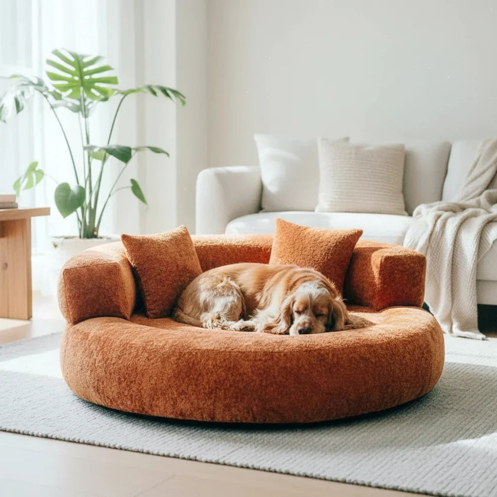 DREAMTAIL – Lit pour animaux en forme de donut avec coussin pour un confort quotidien