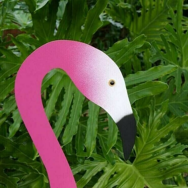 🐓Flamingo tourbillonnant dans le jardin💖