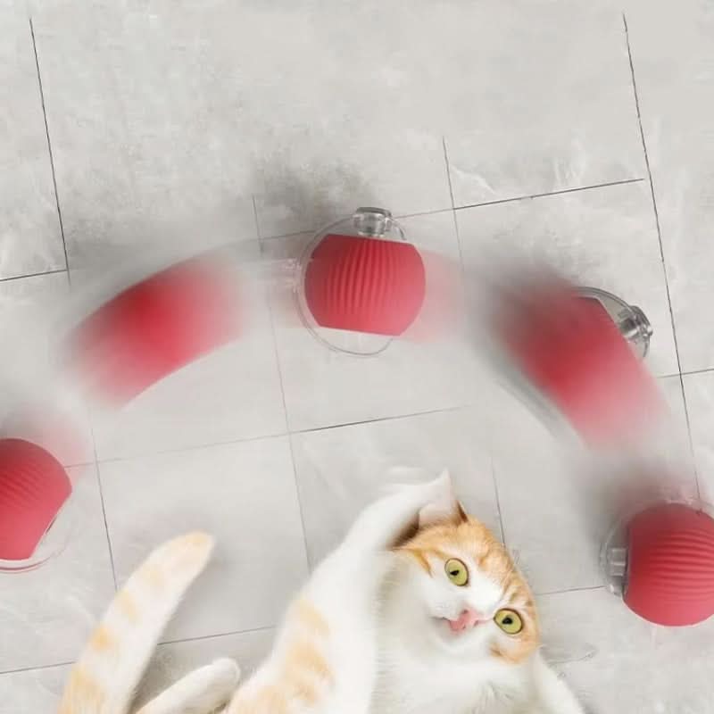 Jouet rebondissant pour chats actifs et curieux