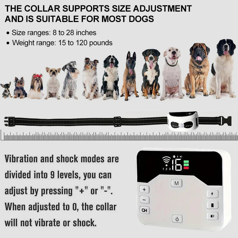 PawPal Collier de Chien Sans Fil - Liberté et Sécurité pour Votre Chien