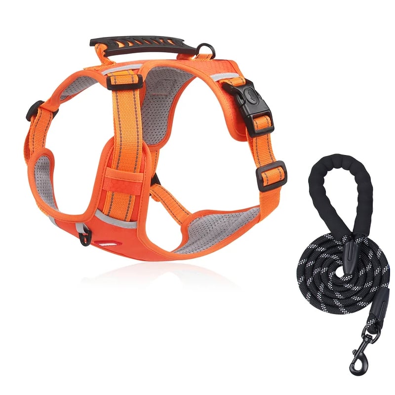 💥Vente de liquidation 49 % DE RABAIS🐕Harnais anti-traction pour animaux de compagnie