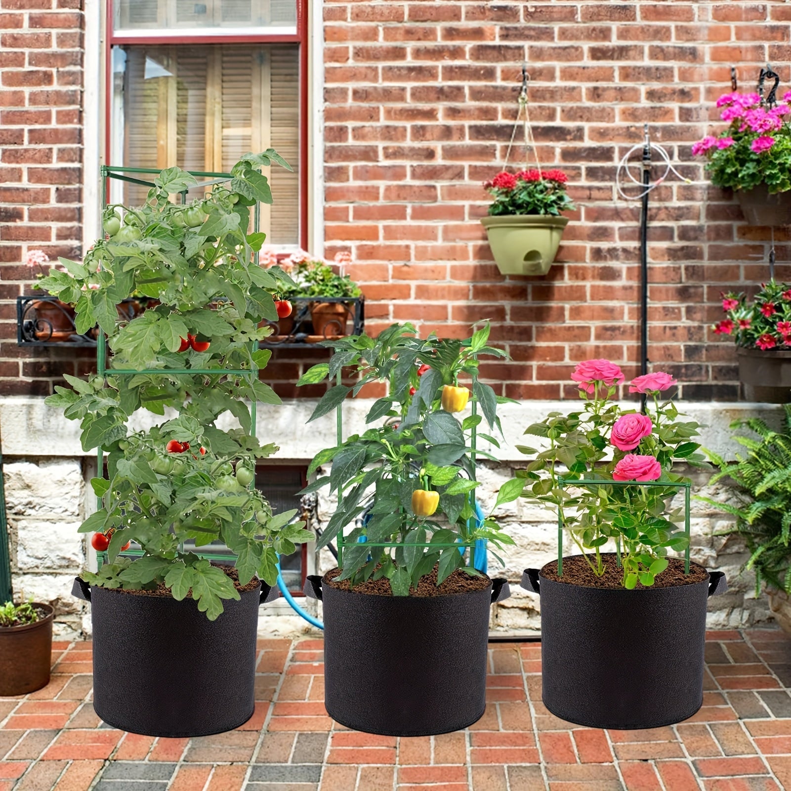 TOMABOX – Support Structuré pour la Culture de Tomates & Grande Capacité