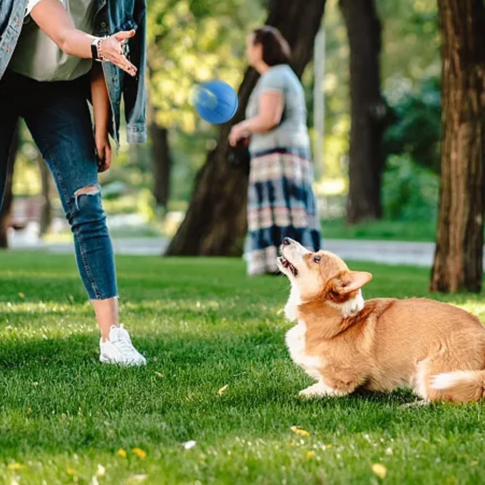 50% de réduction | WaggleBall ™ | Divertissement 24/7 pour votre animal de compagnie