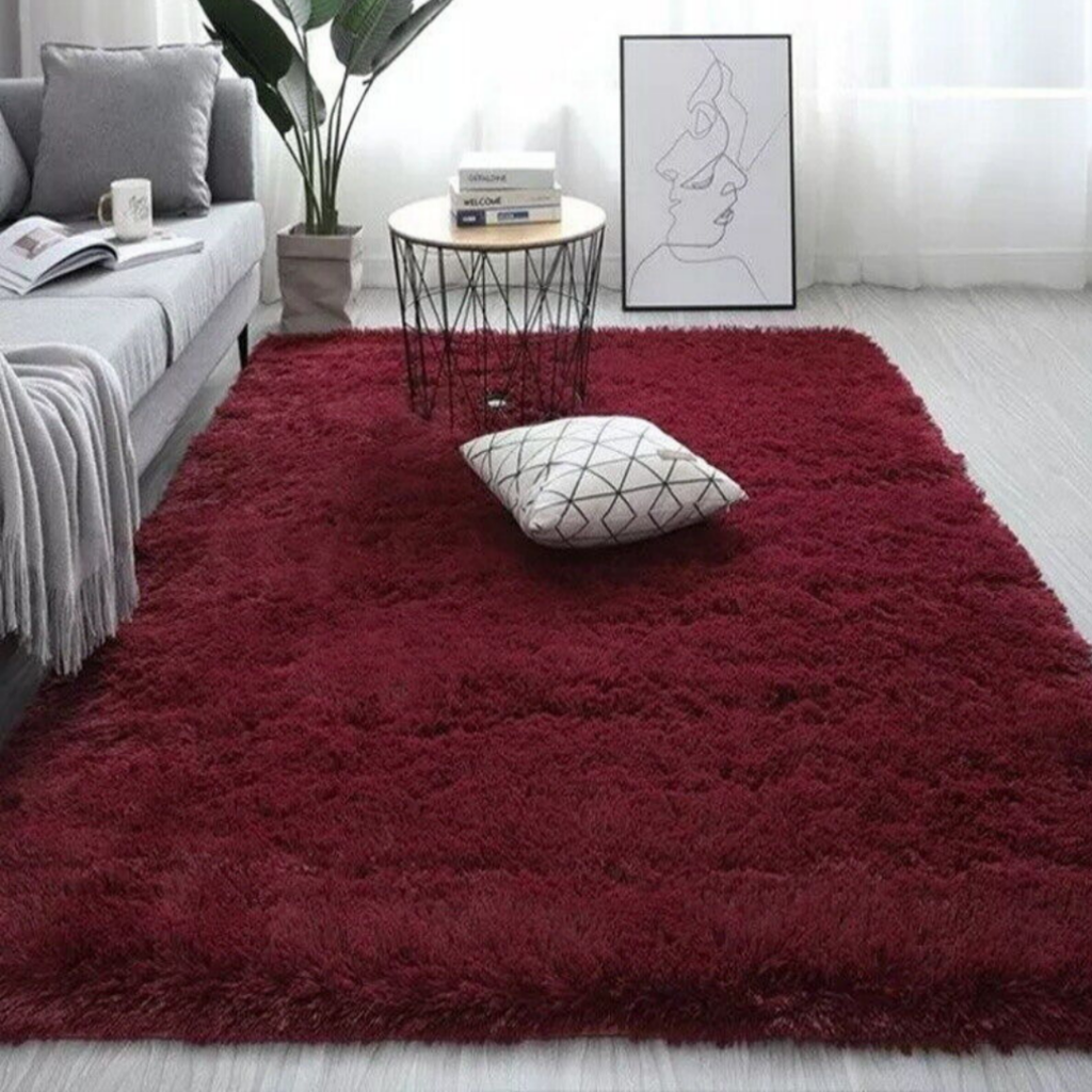 Grand tapis de salon lavable – Tapis doux antidérapant