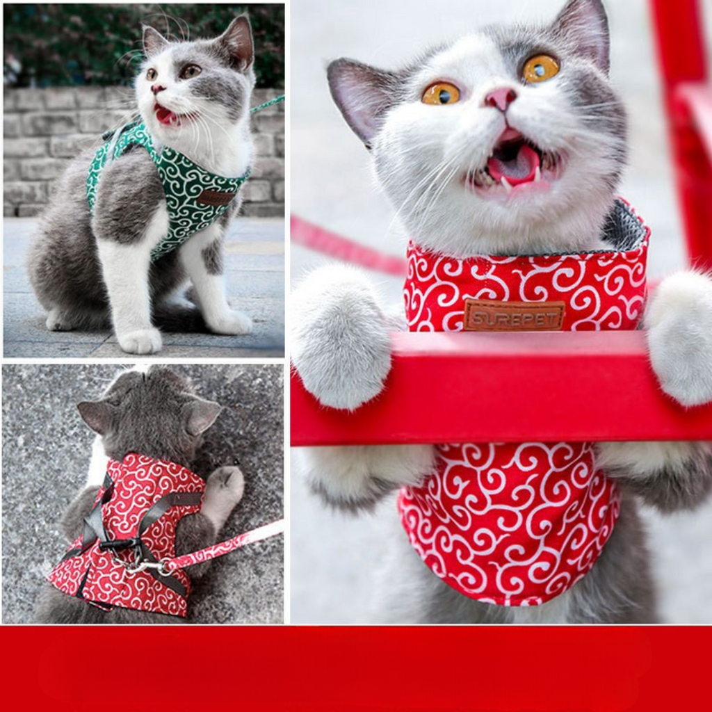 Best-seller : Harnais anti-acné pour chats
