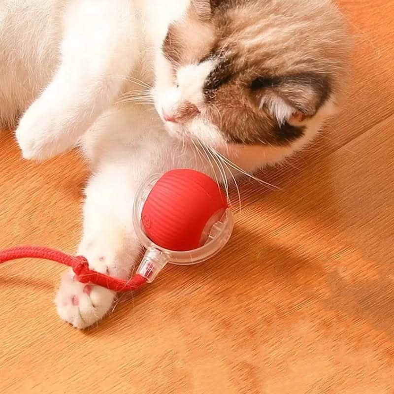 Jouet rebondissant pour chats actifs et curieux