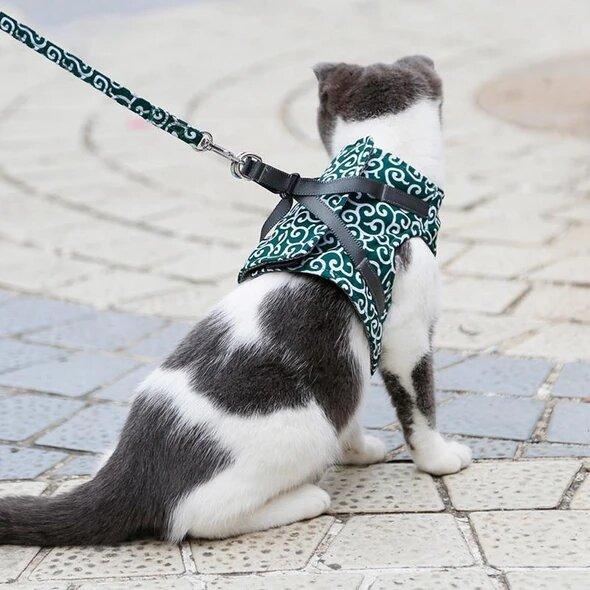 Best-seller : Harnais anti-acné pour chats