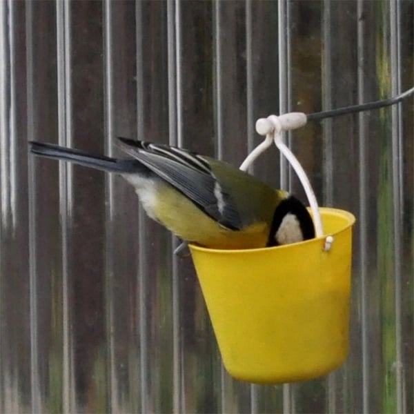 FeederMagic™ | Divertissement pour oiseaux insolite