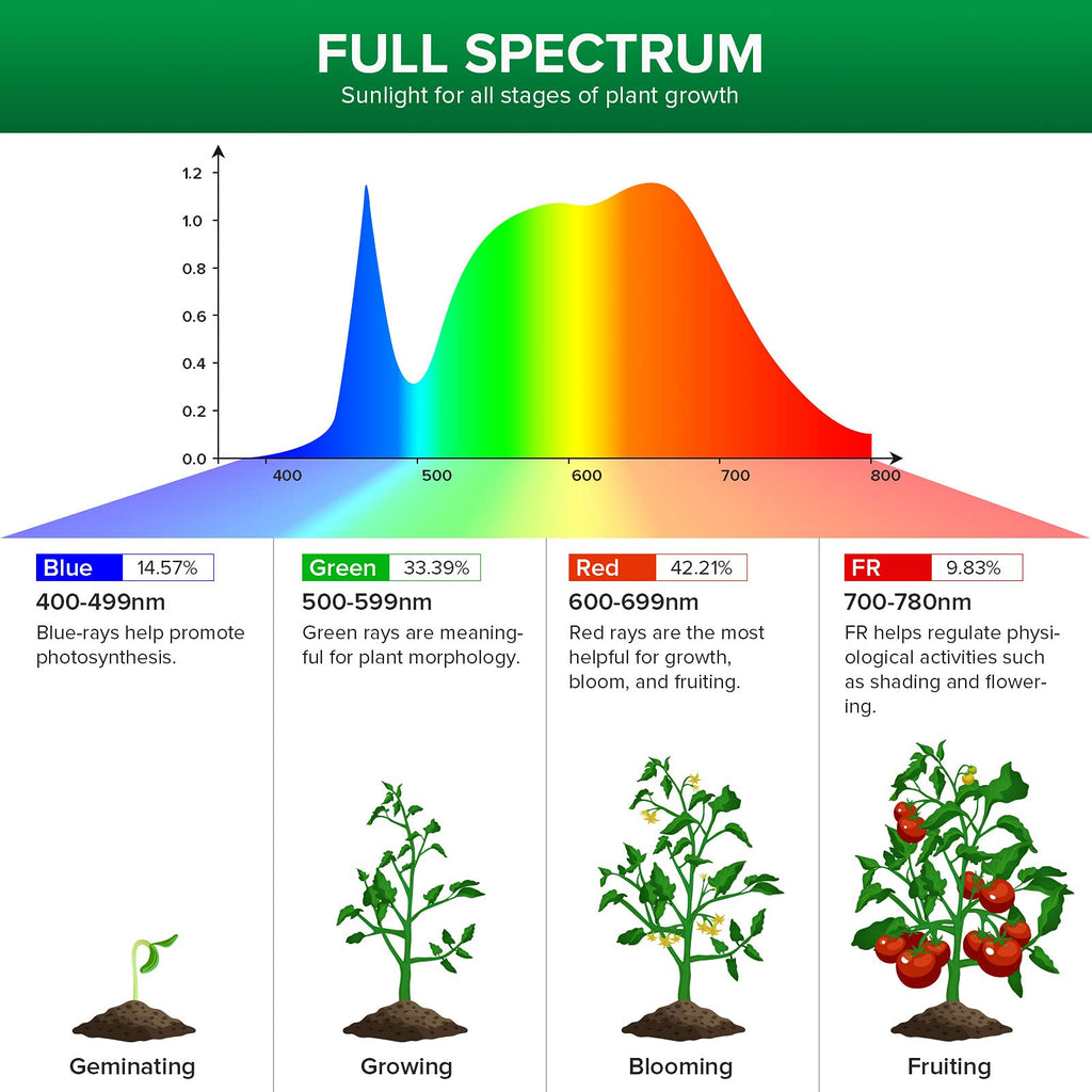 Skanto | Sansi 24W Ampoule de Croissance LED, Spectre Complet, Haute Ppfd, Parfait Pour Plantes et Fleurs d'Intérieur