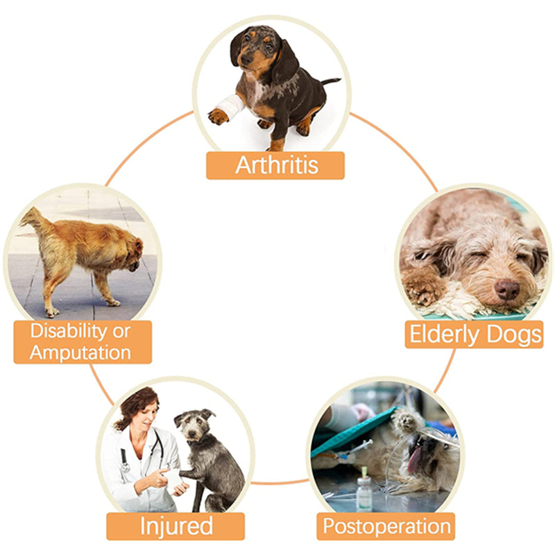 Harnais de levage pour chien avec poignée, sling de récupération pour animaux de compagnie
