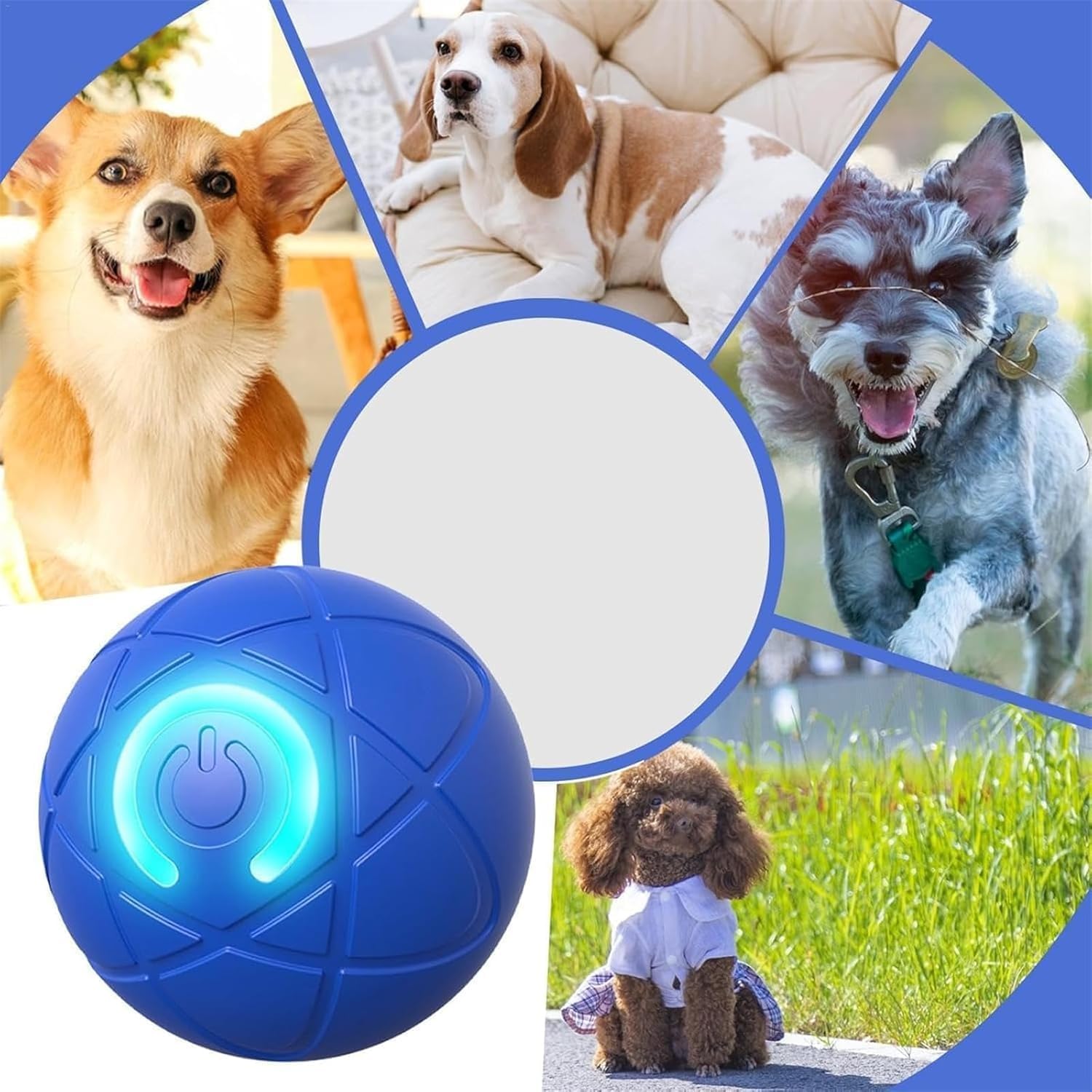 50% de réduction | WaggleBall ™ | Divertissement 24/7 pour votre animal de compagnie
