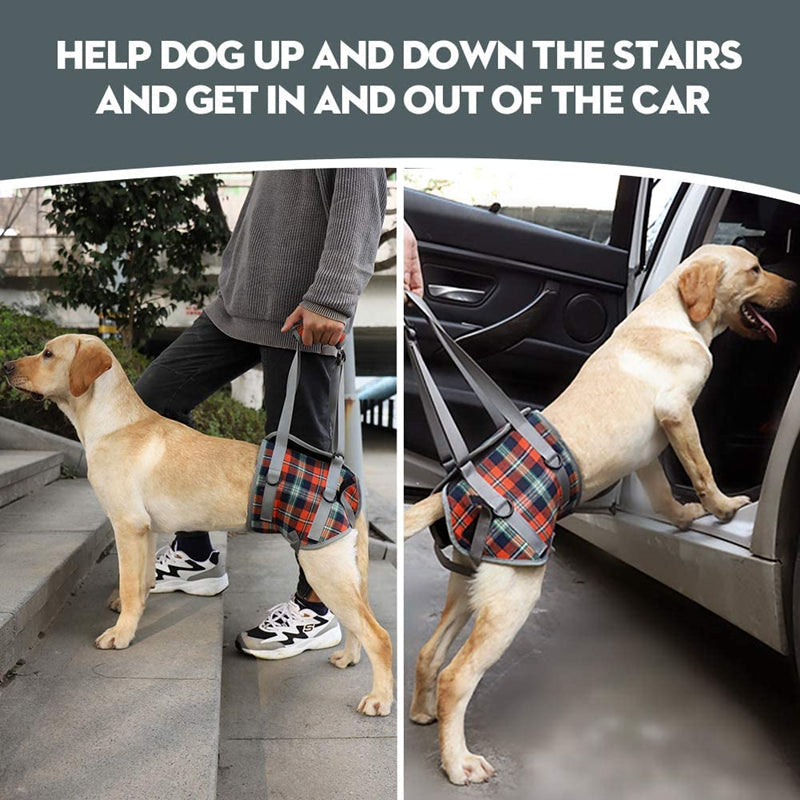 Harnais de levage pour chien avec poignée, sling de récupération pour animaux de compagnie