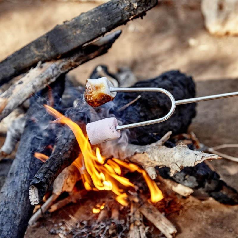 Fourchettes de barbecue télescopiques