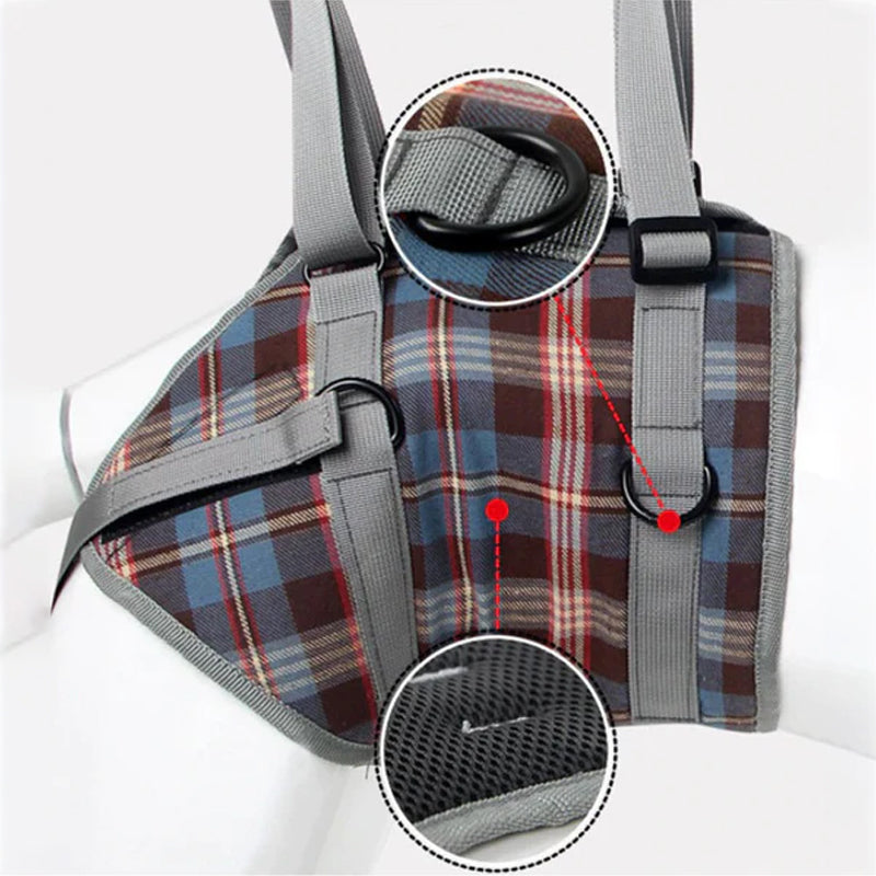 Ceinture orthopédique pour pattes arrière