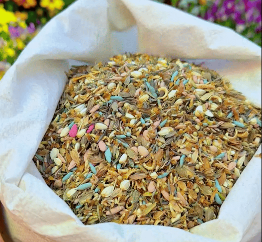 FlowerBloom™ | Mélange de fleurs vivaces pour une floraison toute l'année