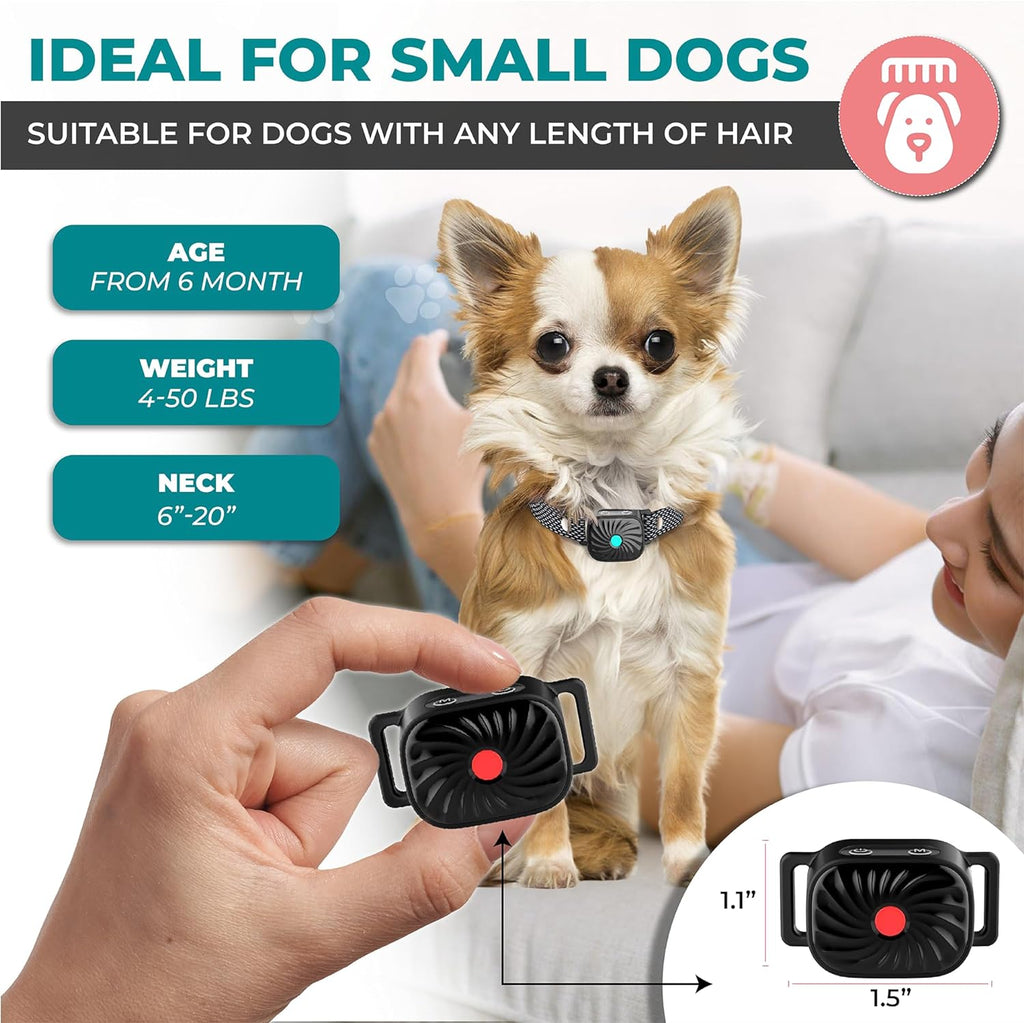 Collier anti-aboiement BelloSilent pour petits chiens | Avec son & vibration | IP87 Étanche | Réglable & doux pour l'entraînement