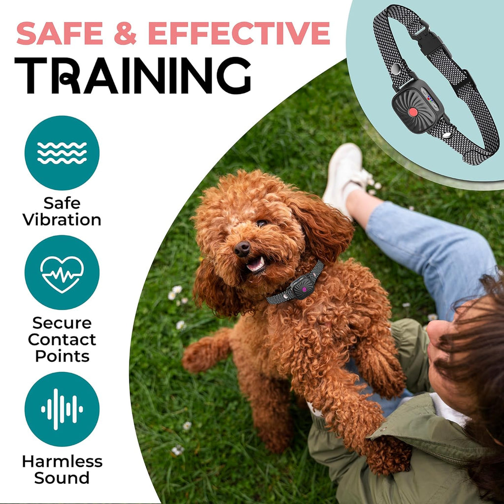 Collier anti-aboiement BelloSilent pour petits chiens | Avec son & vibration | IP87 Étanche | Réglable & doux pour l'entraînement