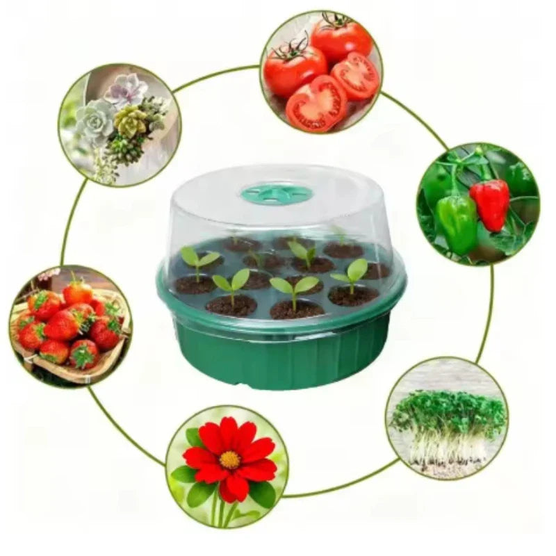 Plateau de Culture Hydroponique avec Couvercle 13 Trous