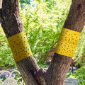 BUGSTRIP – Ruban Barrière Adhésif pour Insectes Extérieurs