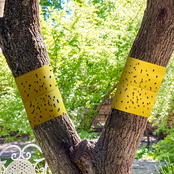BUGSTRIP – Ruban Barrière Adhésif pour Insectes Extérieurs