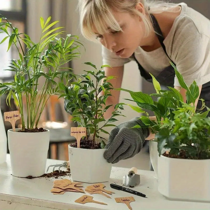 GreenMark – Étiquettes en bois réutilisables comme souvenir durable