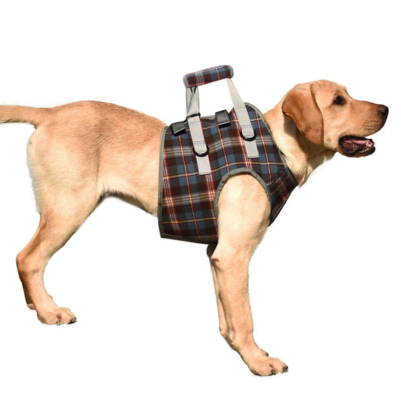Ceinture orthopédique pour pattes arrière