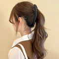 Pince de cheveux maintien rapide au quotidien