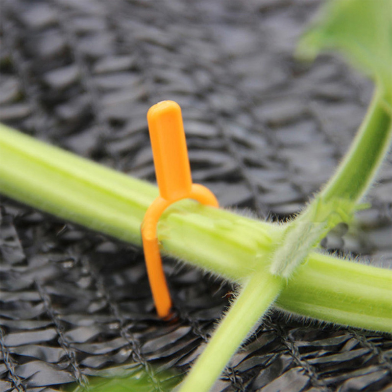 25+25 GRATUIT | EcoStretch – Soutient les plantes pour qu'elles restent droites et en bonne santé toute la saison
