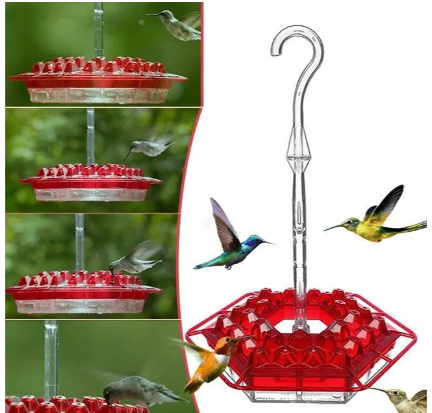 NECTARHAVEN – Nourrisseur de Colibris Antiparasitaire avec 30 Ports d'Accès Faciles