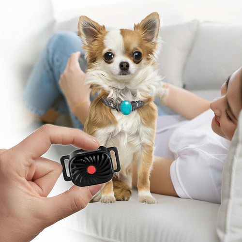 BARKCALM MINI – Collier anti-aboiement doux avec son et vibration pour petits chiens