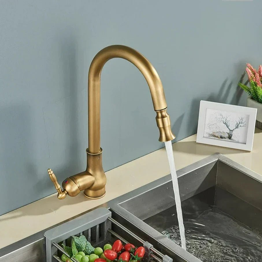 SMARTSPOUT - Robinet de cuisine avec fonction extensible en bronze antique pour un travail de cuisine élégant et flexible