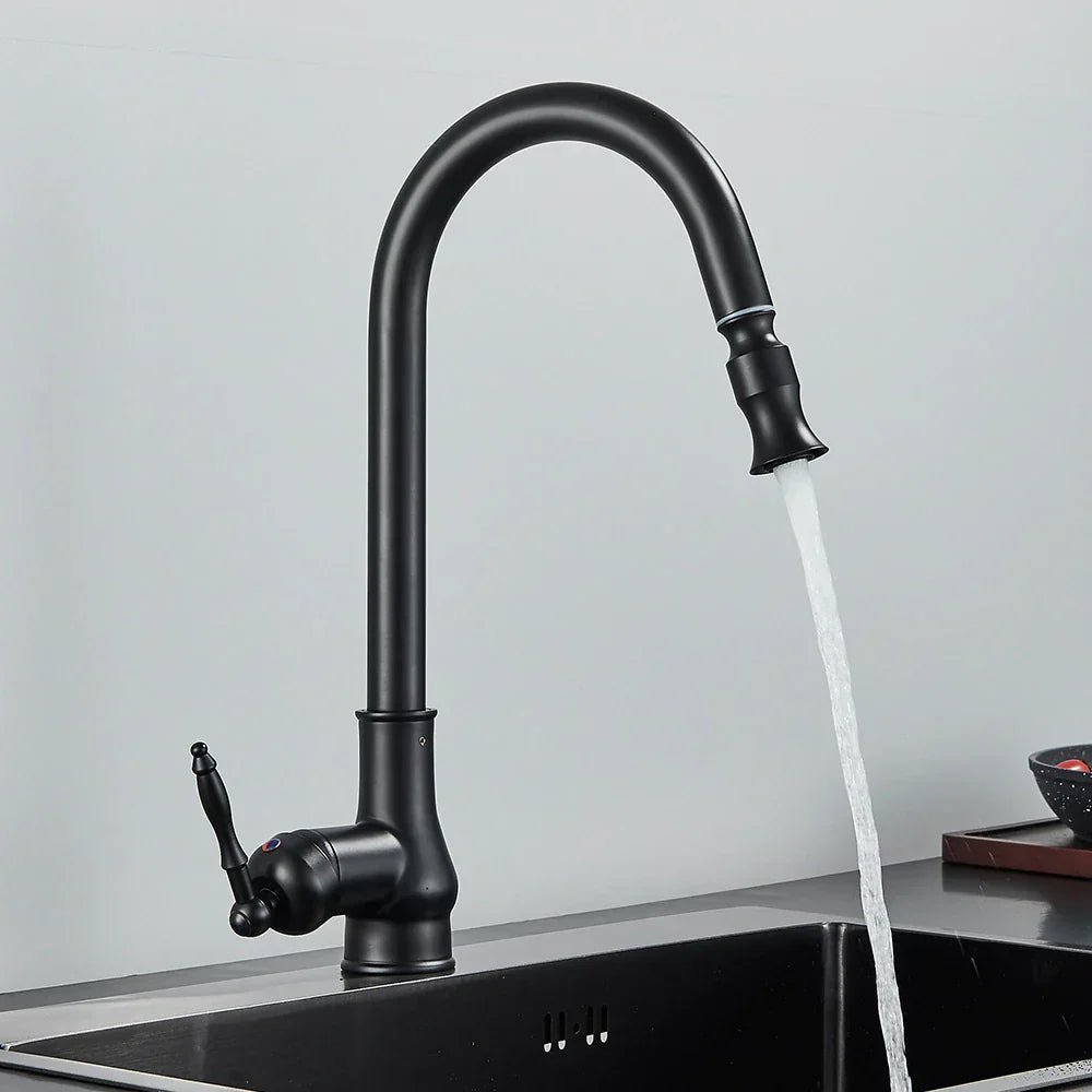 SMARTSPOUT - Robinet de cuisine avec fonction extensible en bronze antique pour un travail de cuisine élégant et flexible