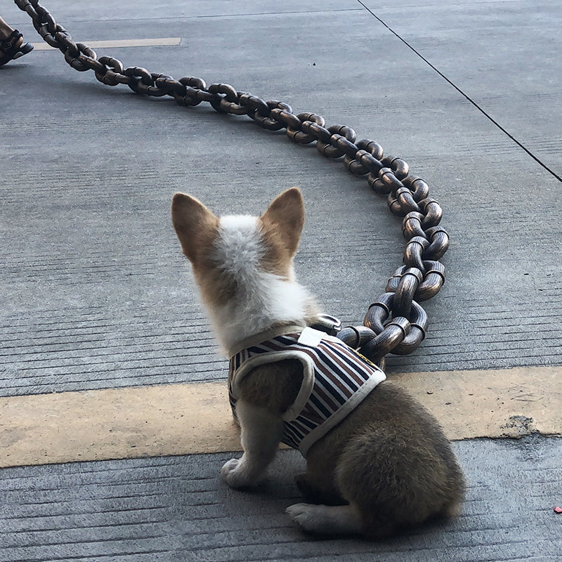AWSLUXE - Collier de Chien Unique Réglable avec Design en Chaîne Métallique Durable