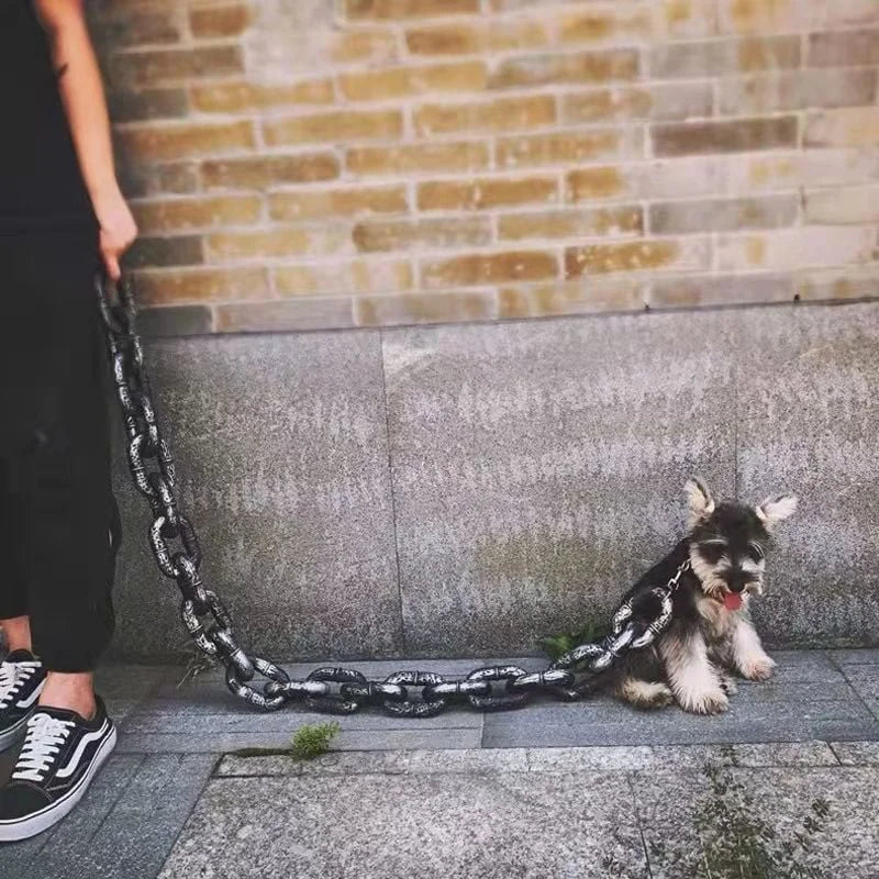 AWSLUXE - Collier de Chien Unique Réglable avec Design en Chaîne Métallique Durable