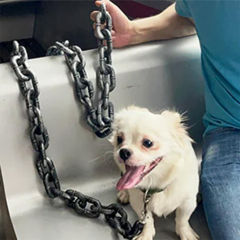 AWSLUXE - Collier de Chien Unique et Ajustable avec Design en Chaîne Métallique Durable
