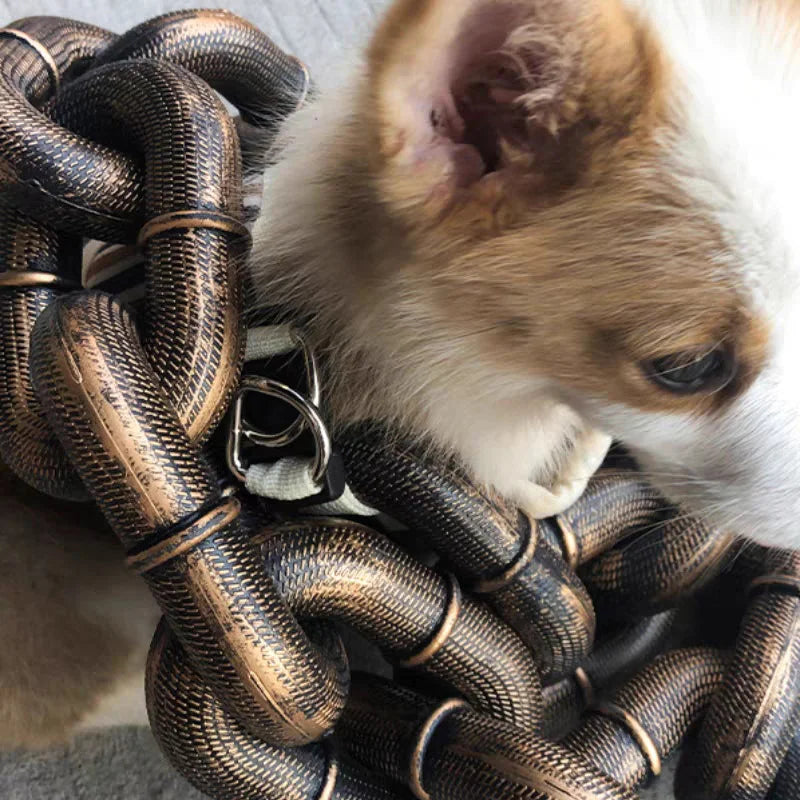 AWSLUXE - Collier de Chien Unique et Ajustable avec Design en Chaîne Métallique Durable