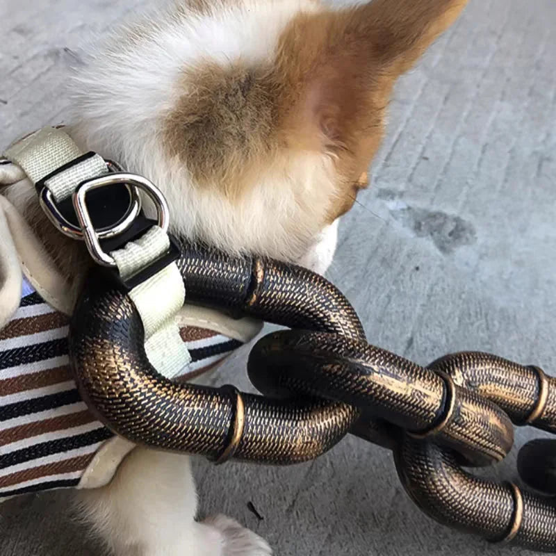 AWSLUXE - Collier de Chien Unique Réglable avec Design en Chaîne Métallique Durable