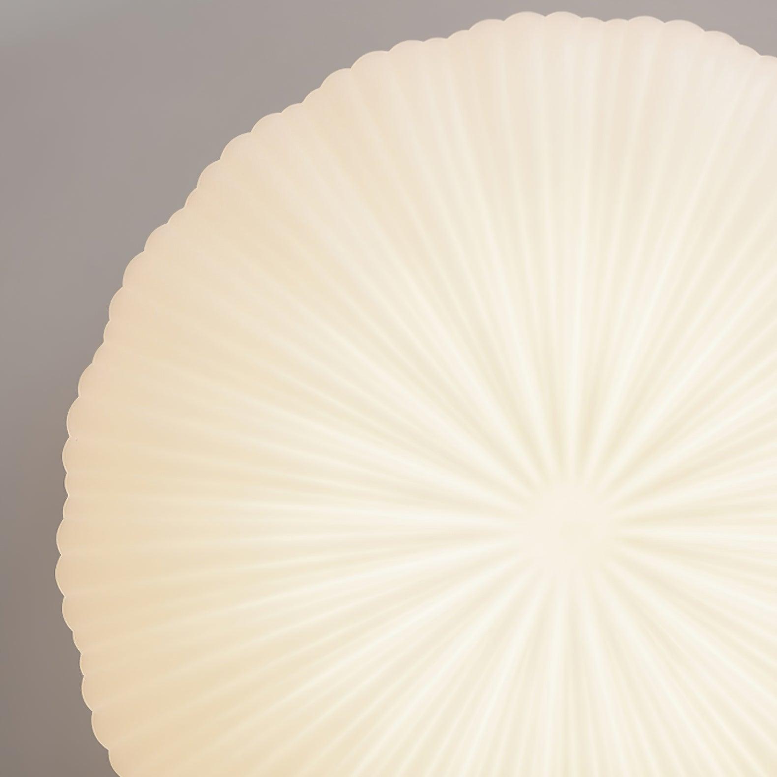 Élégance stylée qui illuminera votre espace !