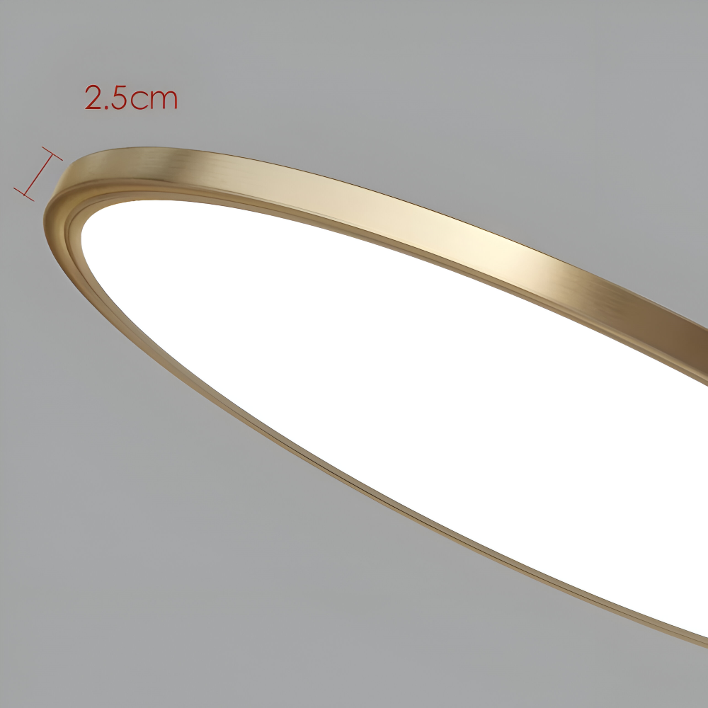 Lampe de plafond LED ronde ultrafine en bronze – design élégant et moderne