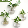 1+1 Gratuit | WallBliss™ | Vase à Fleurs Murale Claire