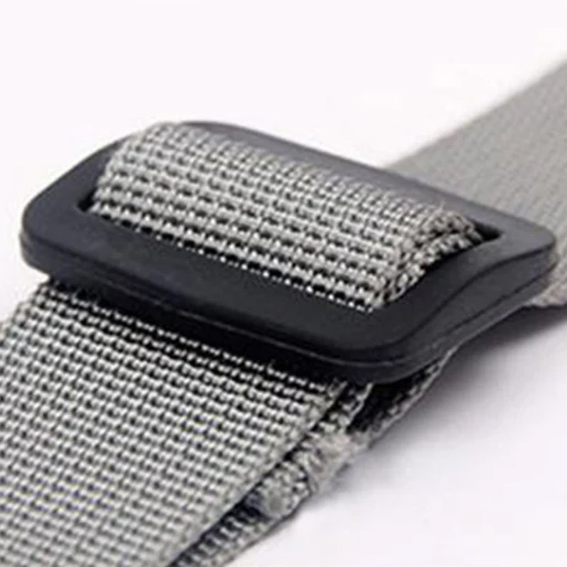 Ceinture orthopédique pour pattes arrière